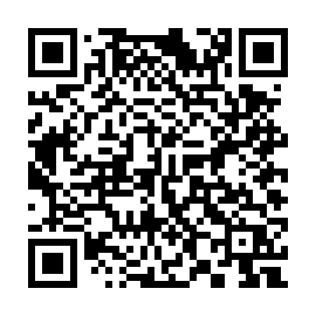 QR code for 384DVP