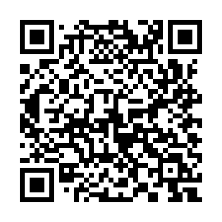 QR code for 384IUL