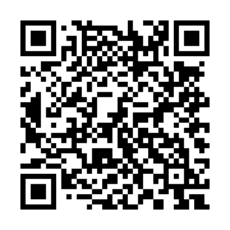 QR code for 384LSK