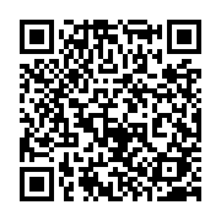 QR code for 384OPK