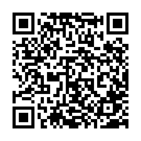 QR code for 384QHV