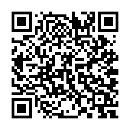 QR code for 384RLT