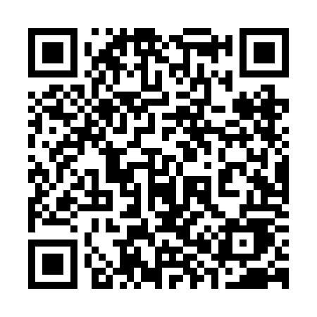 QR code for 384ROE