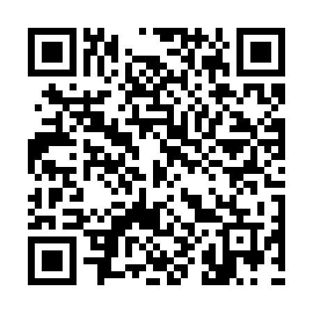 QR code for 384SKU