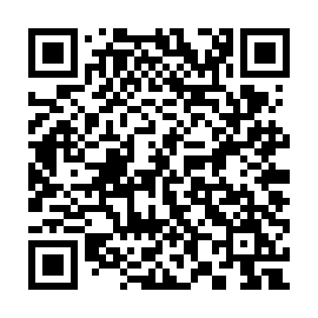 QR code for 384VDM