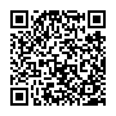 QR code for 384VZT