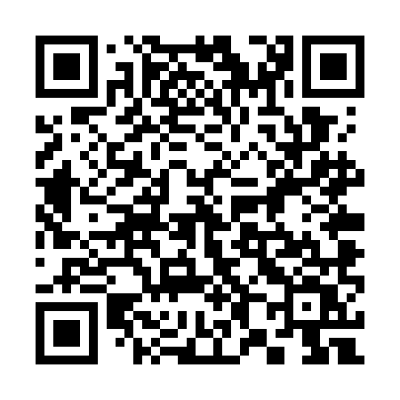 QR code for 384WMV