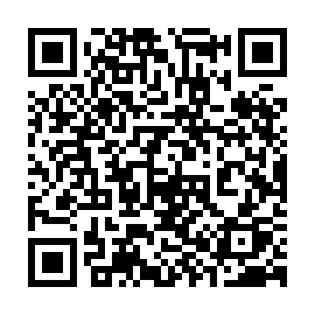 QR code for 384XCP