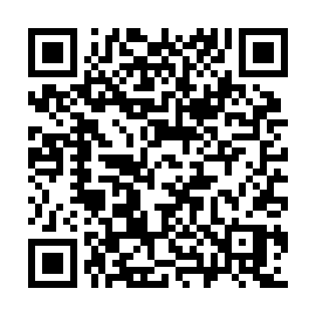 QR code for 384ZDP
