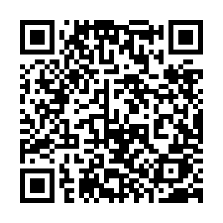 QR code for 384ZOJ
