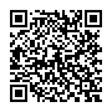 QR code for 385HWW