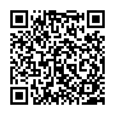 QR code for 385LUO