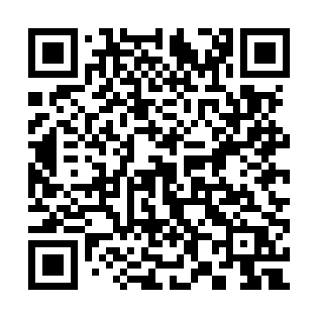 QR code for 385MPP