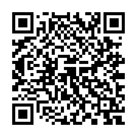 QR code for 385PIR