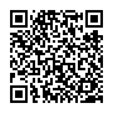 QR code for 386FKO