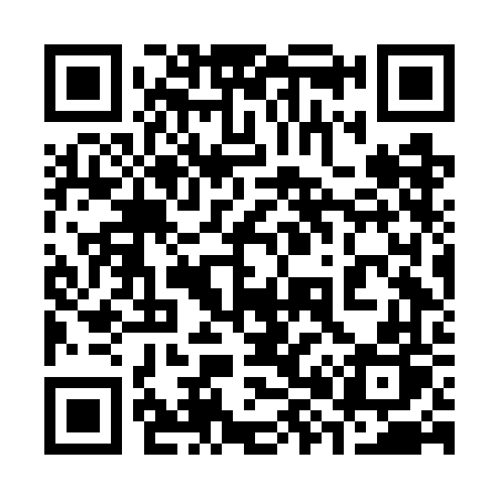 QR code for 386GFP