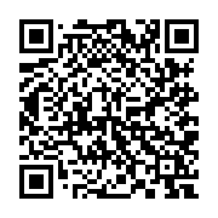 QR code for 386HLX