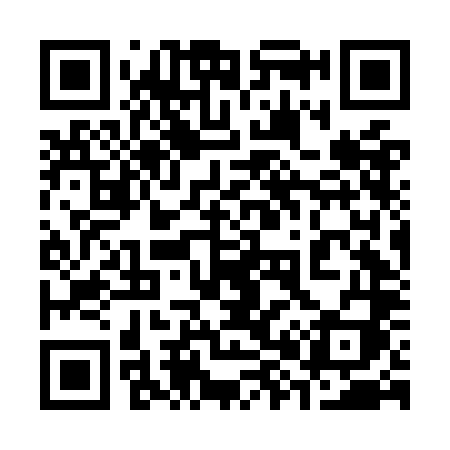 QR code for 386OLI