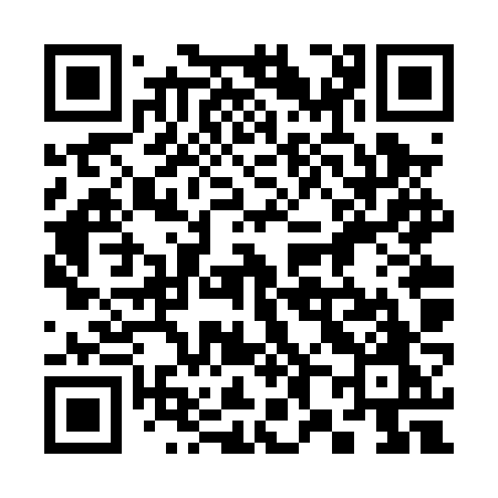 QR code for 386PZO