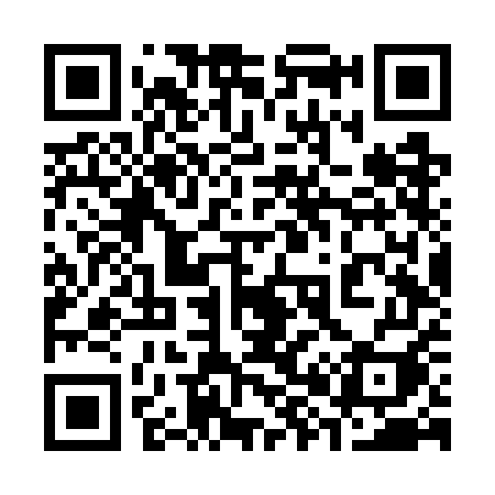 QR code for 386WEI