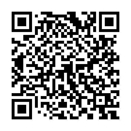 QR code for 387MWQ