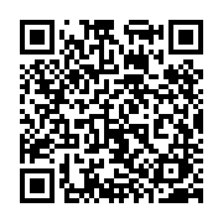 QR code for 387PNM
