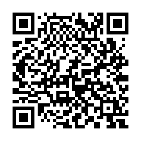 QR code for 387SQX