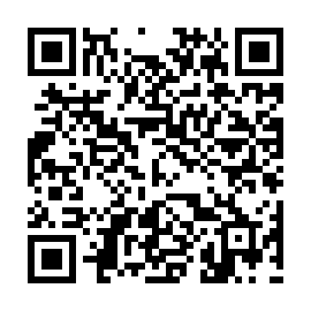 QR code for 389IWP