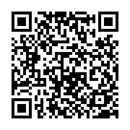 QR code for 389LYU