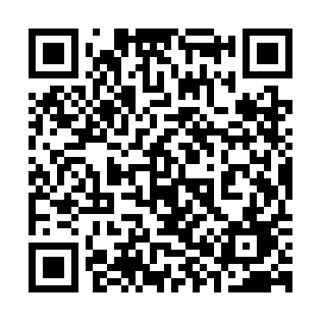 QR code for 389SAD