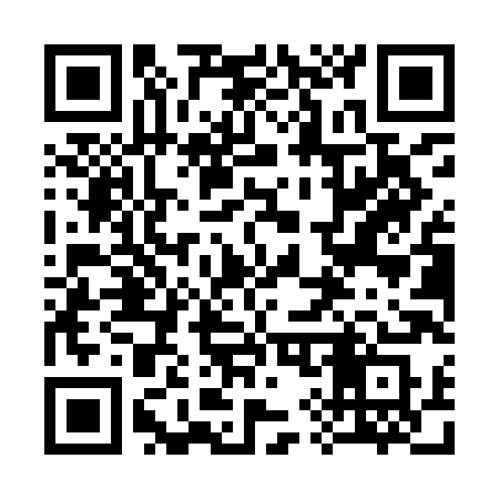 QR code for 390YHS