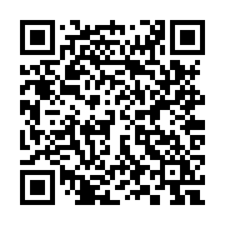 QR code for 392XZY