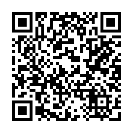 QR code for 393BHE