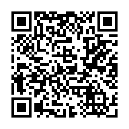 QR code for 393FST