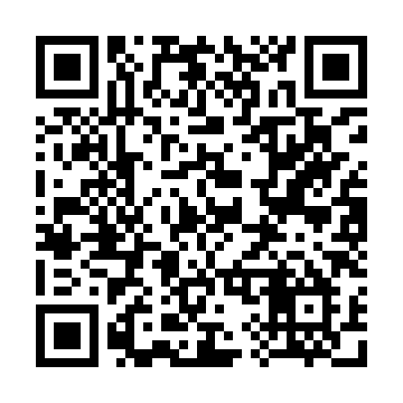 QR code for 393IXM