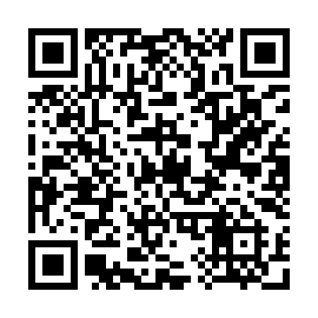 QR code for 393IYI