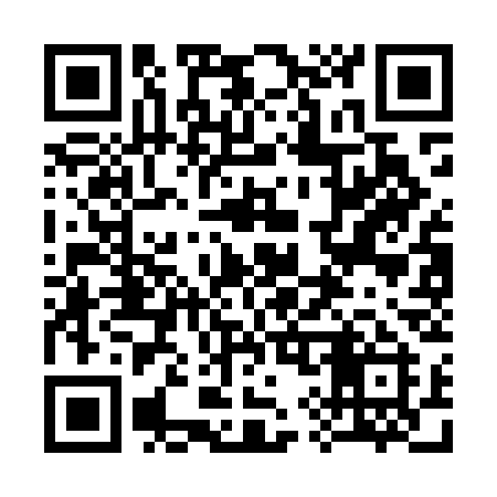 QR code for 393MCI