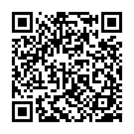 QR code for 393MNI