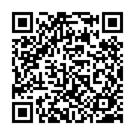 QR code for 393PAO