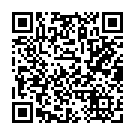 QR code for 393RAF