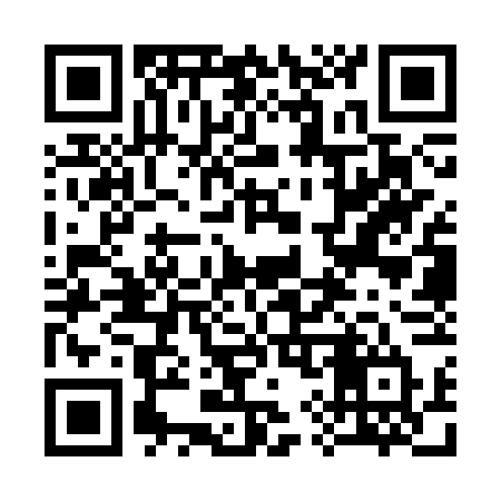 QR code for 393SVT
