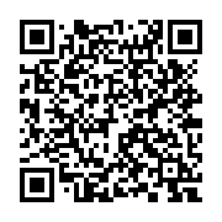 QR code for 393ZYH