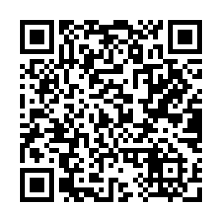 QR code for 394SMI