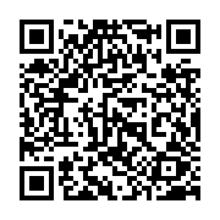 QR code for 395ZZZ