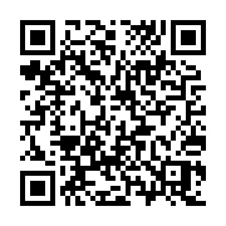 QR code for 397HQP