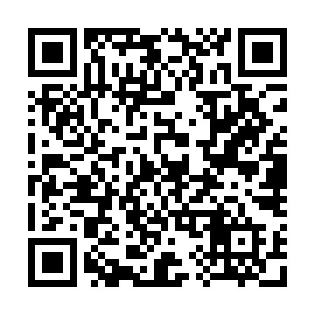 QR code for 397QID