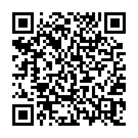 QR code for 397RUB