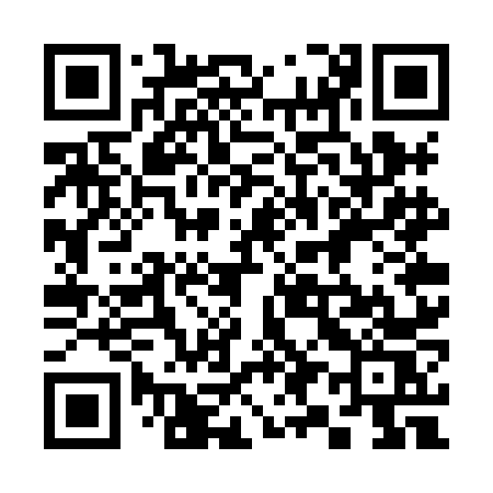 QR code for 397XNS
