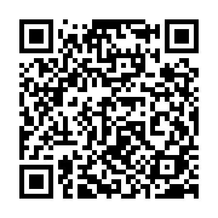 QR code for 399API
