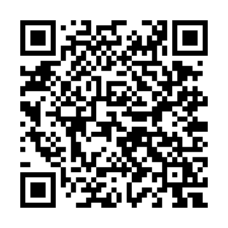 QR code for 410TOY
